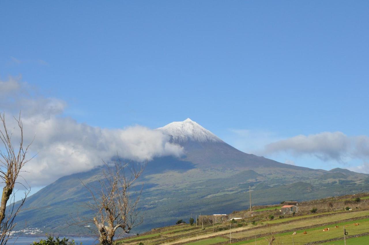 Casa Da Abrotea Villa Lajes do Pico Ngoại thất bức ảnh