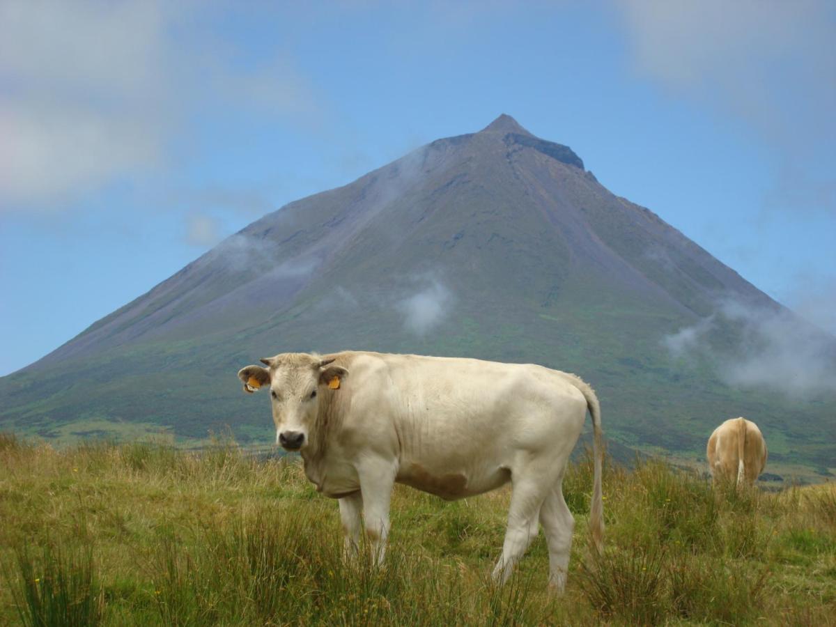 Casa Da Abrotea Villa Lajes do Pico Ngoại thất bức ảnh