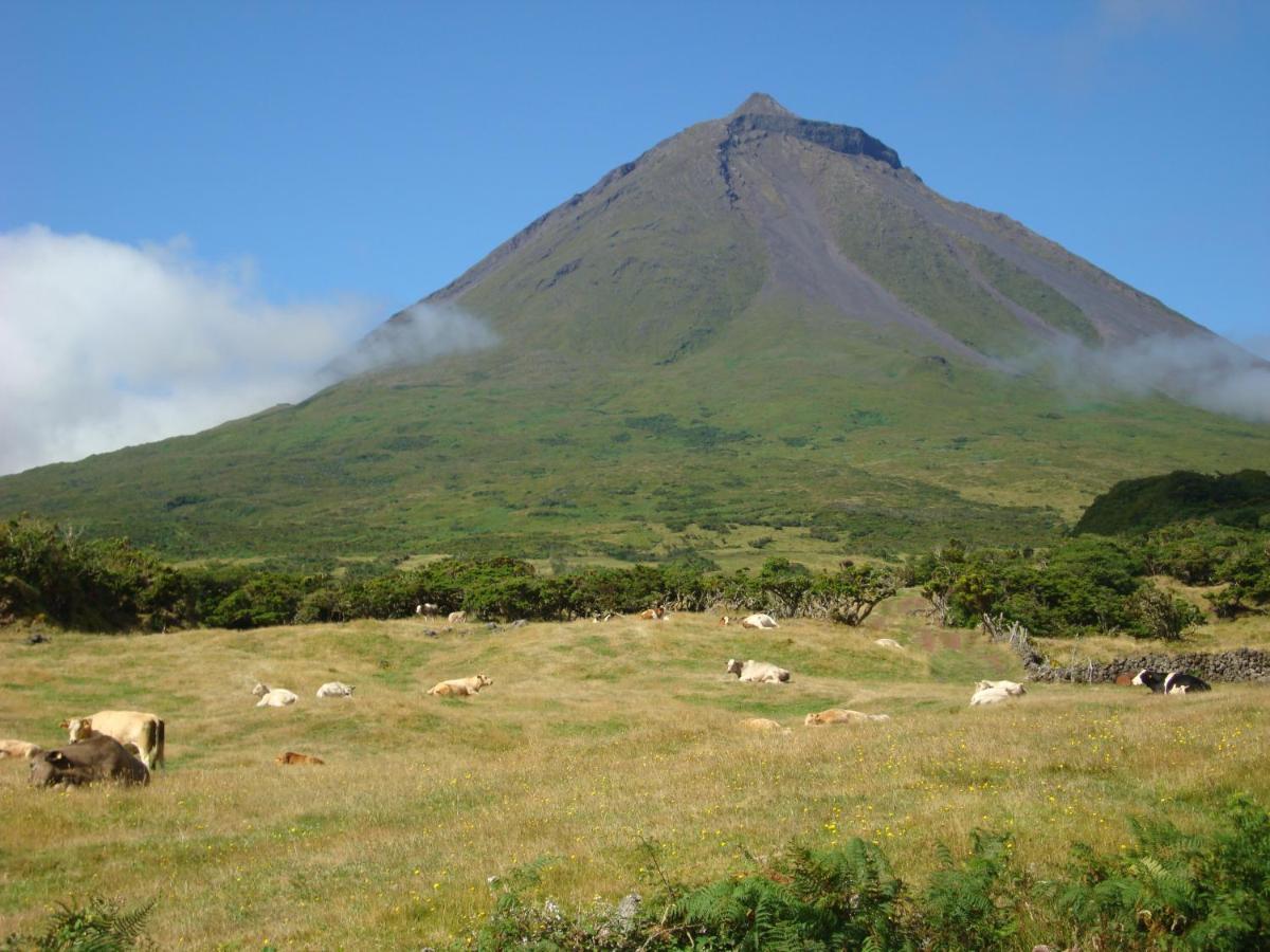 Casa Da Abrotea Villa Lajes do Pico Ngoại thất bức ảnh